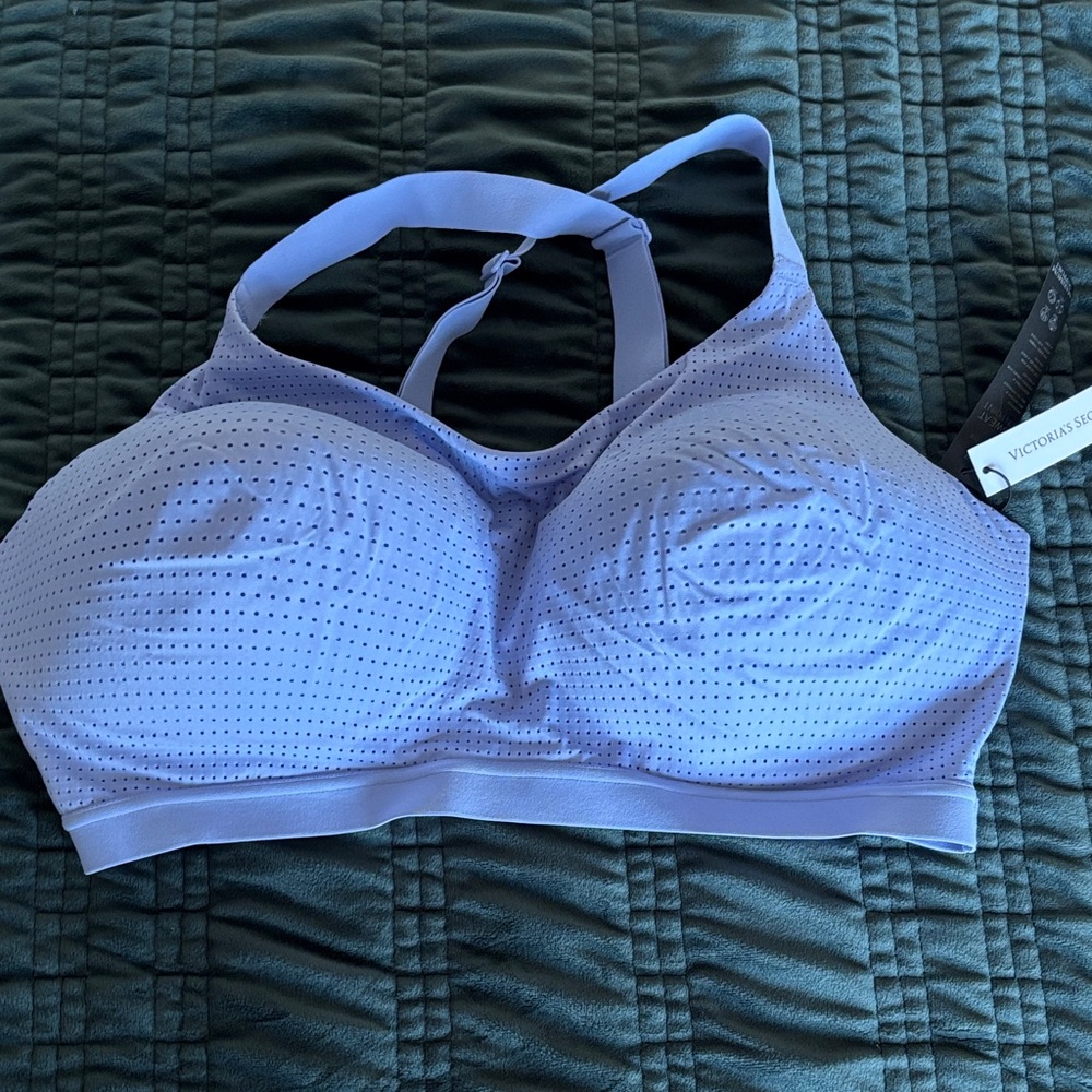 Victoria's Secret Periwinkle Sports Bra